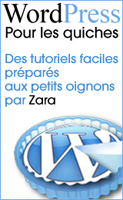 Les tutoriels WordPress préparés aux petits oignons par Zara